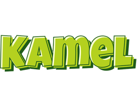 Kamel summer logo