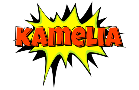 Kamelia bigfoot logo