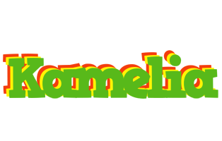 Kamelia crocodile logo