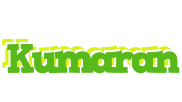 Kumaran picnic logo