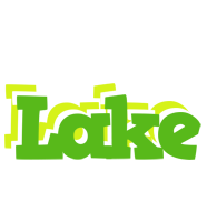 Lake picnic logo