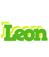 Leon picnic logo