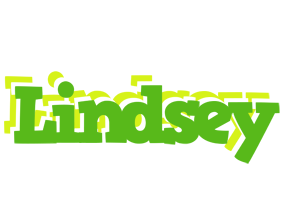 Lindsey picnic logo