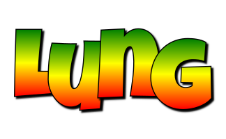 Lung mango logo
