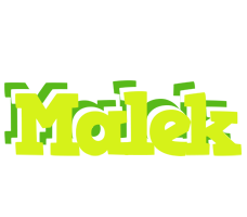 Malek citrus logo