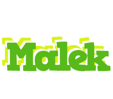 Malek picnic logo