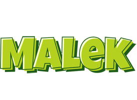 Malek summer logo