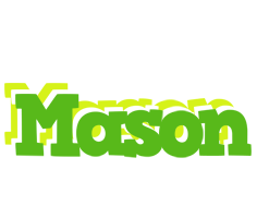 Mason picnic logo