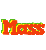 Mass bbq logo