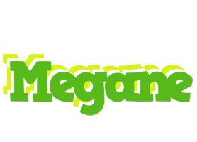 Megane picnic logo