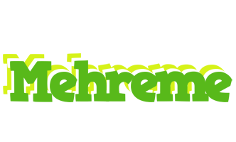 Mehreme picnic logo