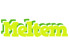 Meltem citrus logo