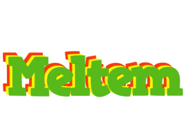 Meltem crocodile logo