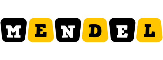 Mendel boots logo