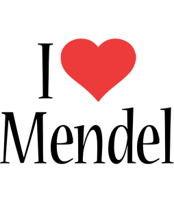 Mendel i-love logo