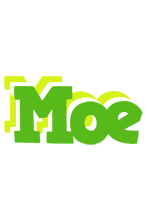 Moe picnic logo