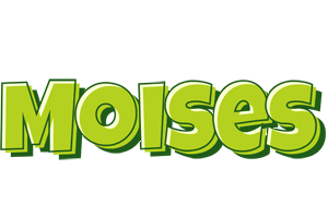 Moises summer logo