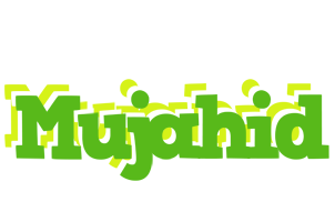 Mujahid picnic logo