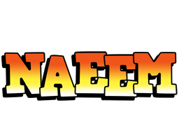 Naeem sunset logo