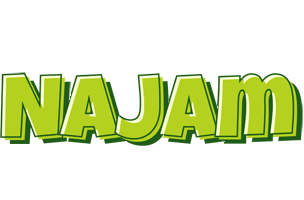 Najam summer logo