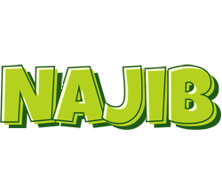 Najib summer logo