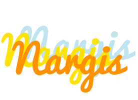 Nargis energy logo