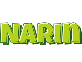 Narin summer logo