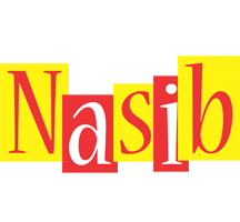 Nasib errors logo