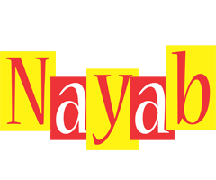 Nayab errors logo