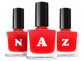 Naz fashion logo