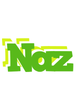 Naz picnic logo