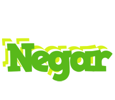 Negar picnic logo