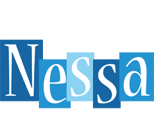 Nessa winter logo