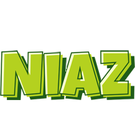 Niaz summer logo