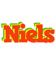 Niels bbq logo