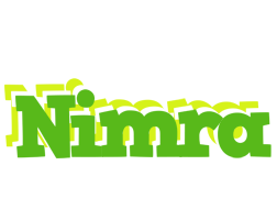 Nimra picnic logo