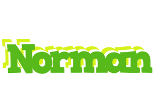 Norman picnic logo