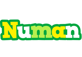 Numan soccer logo
