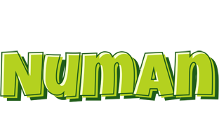 Numan summer logo