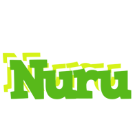 Nuru picnic logo