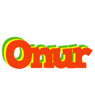 Onur bbq logo