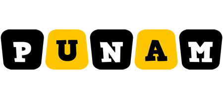 Punam boots logo
