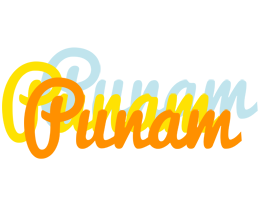 Punam energy logo