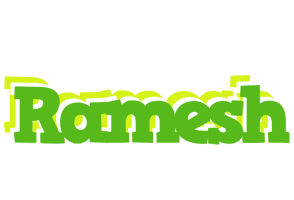 Ramesh picnic logo