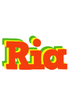 Ria bbq logo