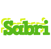 Sabri picnic logo