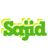 Sajid picnic logo