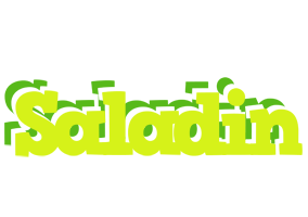 Saladin citrus logo