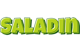 Saladin summer logo