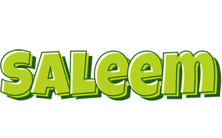 Saleem summer logo